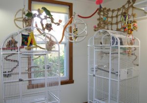 Hahns Macaw Cage