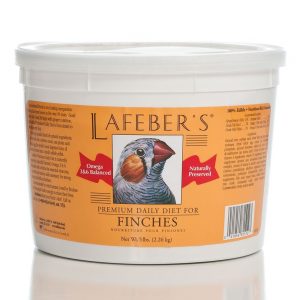 Finch Bird Food